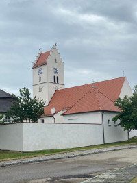 Störche auf der Turmspitze von St. Nikolaus in Ochsenfeld